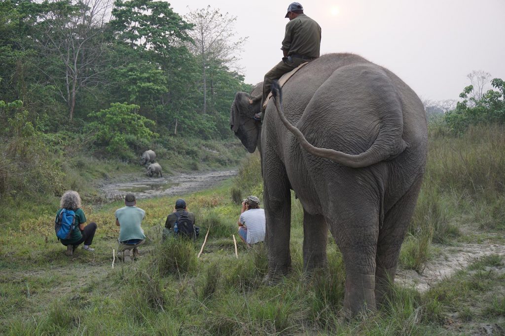 Pioneering the Ethical Elephant Safari in Nepal with Tiger Tops