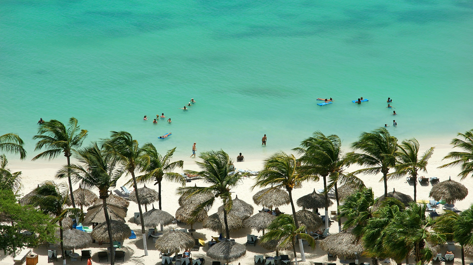 Boardwalk Boutique Hotel casitas nestled in the coconut grove