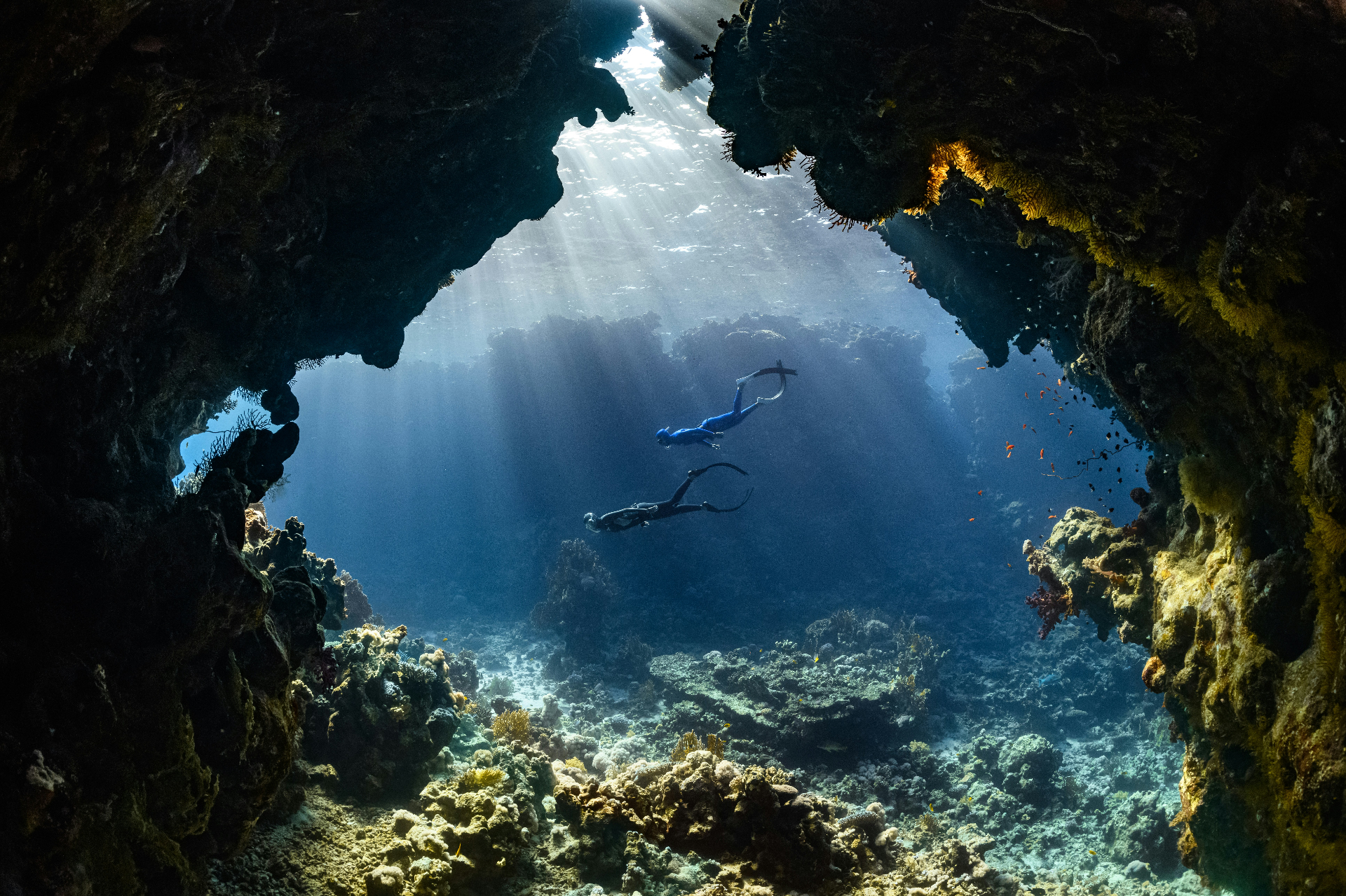 Freedivers gliding through a coral cavern on the barrier reef