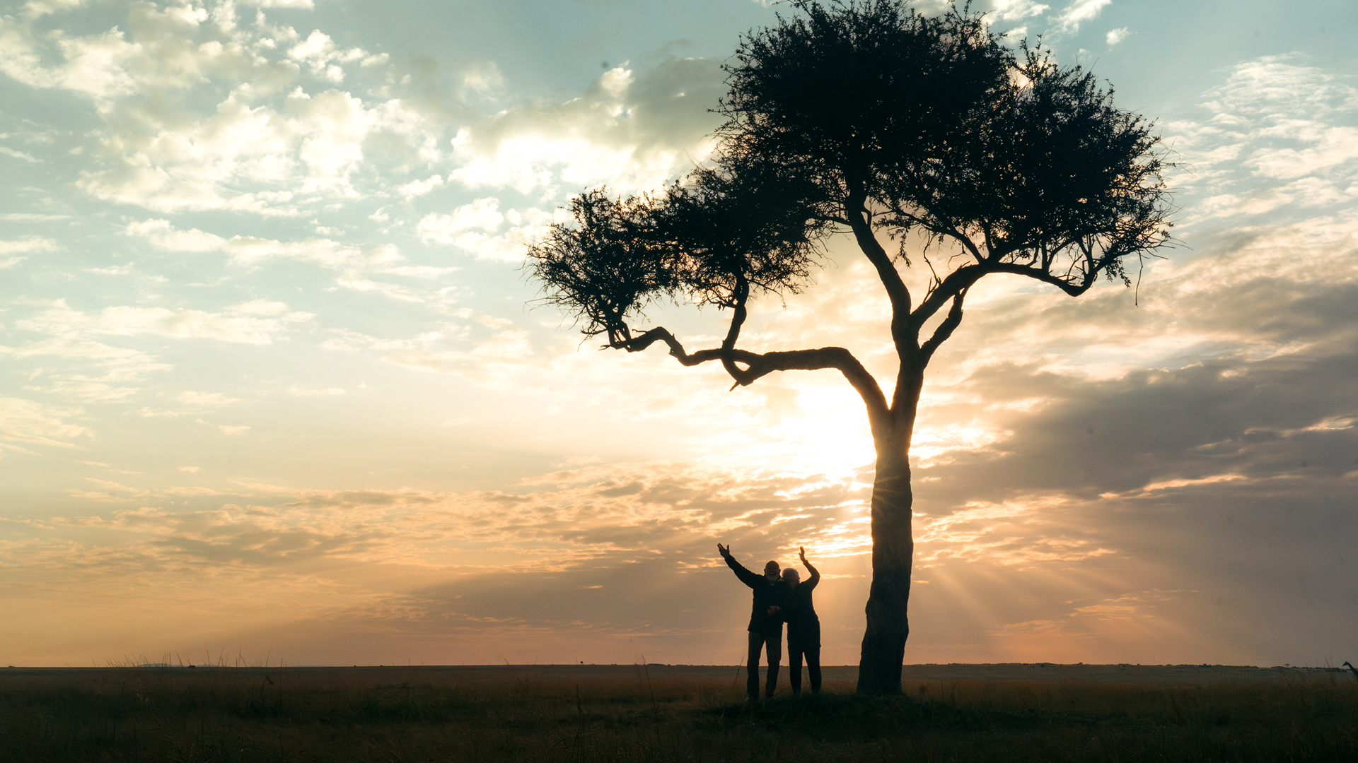 Couple under an acacia tree at sunset