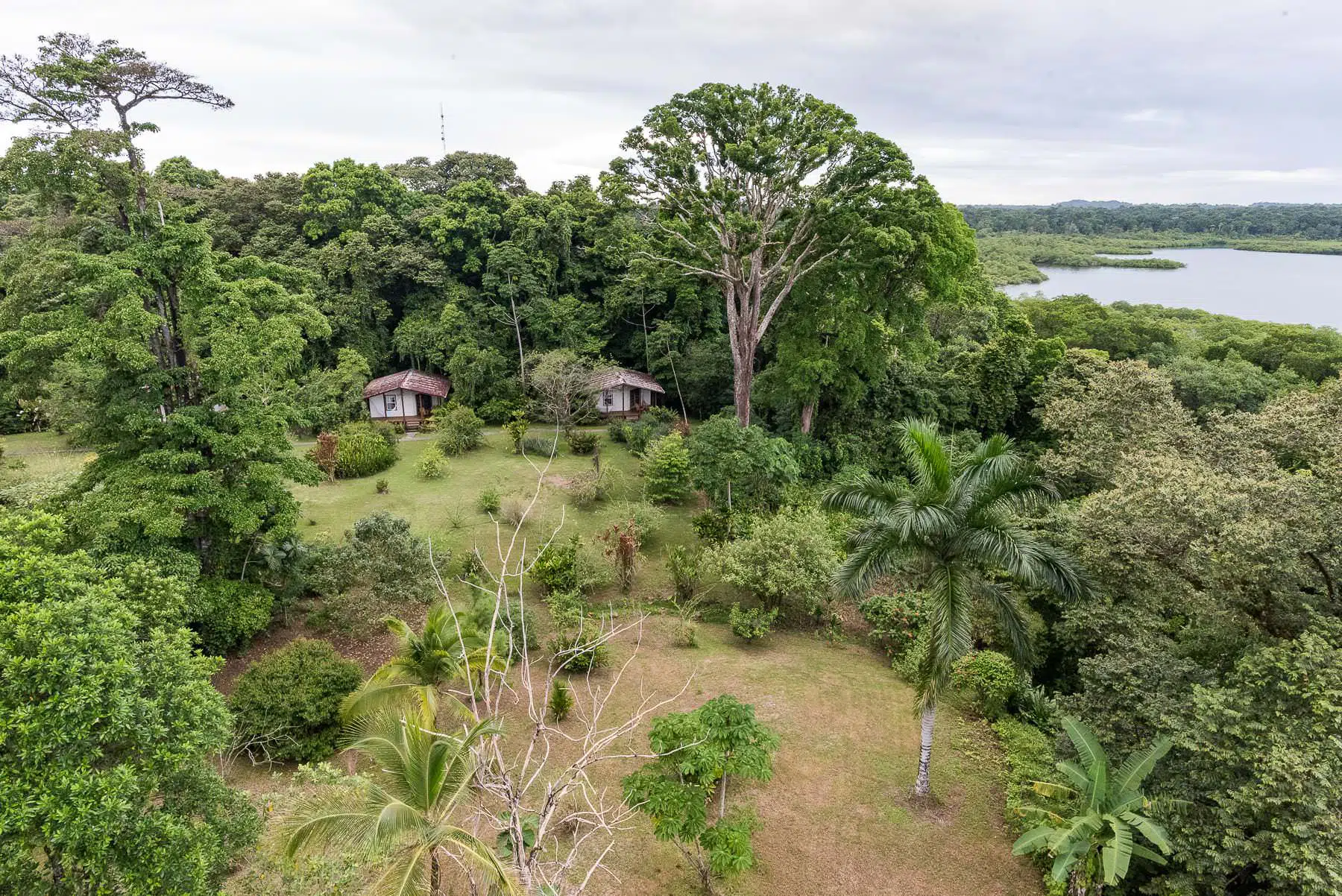 Aerial view of Tranquilo Bay lodge nestled in rainforest beside the lagoon