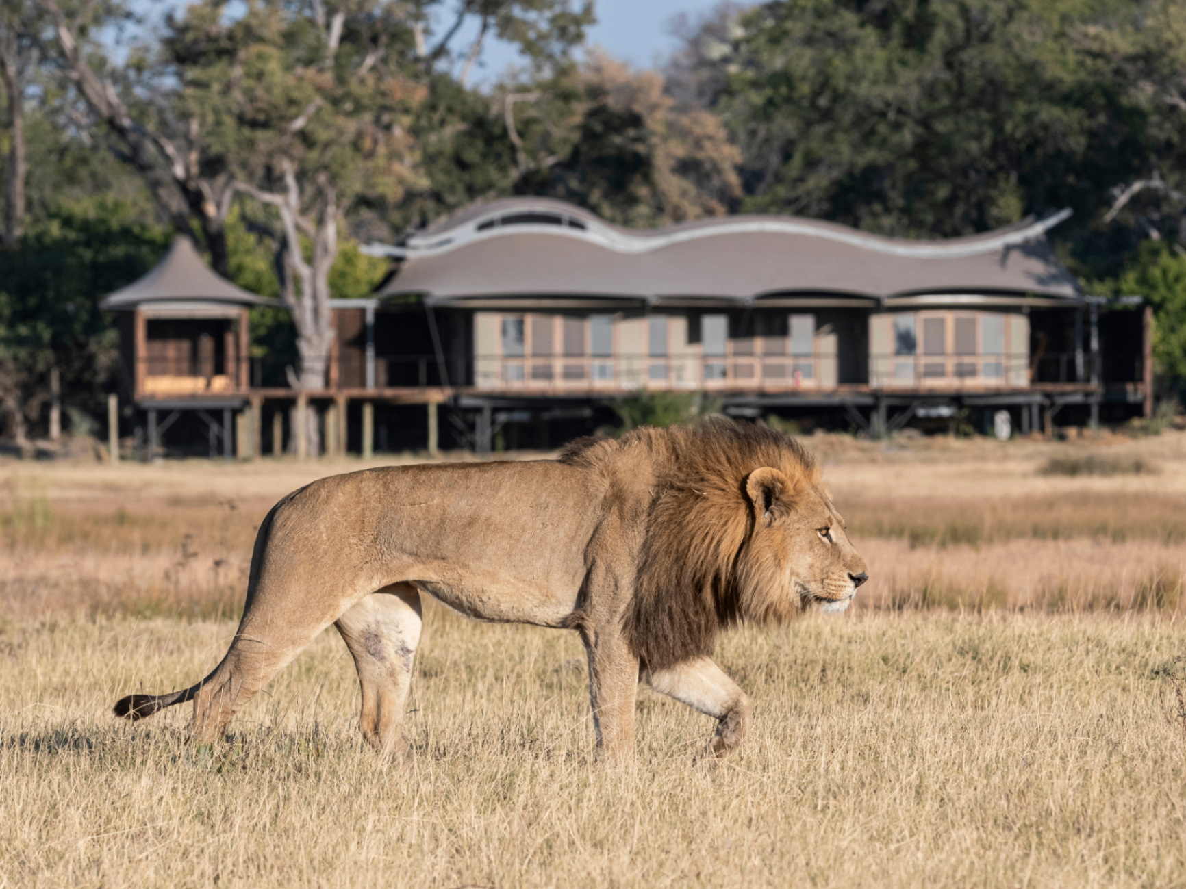 Xigera Safari Lodge 2