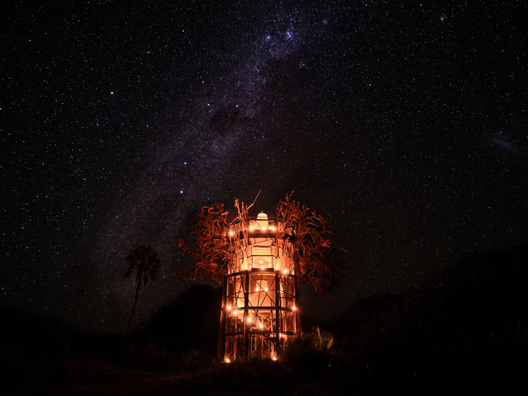 Starbed under the Delta sky